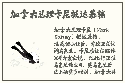 啊∽你tm别 了我的小兔兔电影